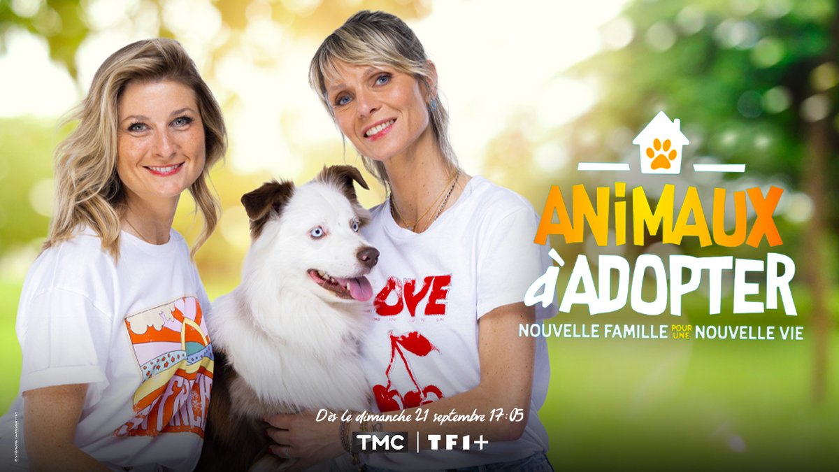 « Animaux à adopter, nouvelle famille pour une nouvelle vie » : nouvelle saison dès le 21 septembre 2025 sur TMC